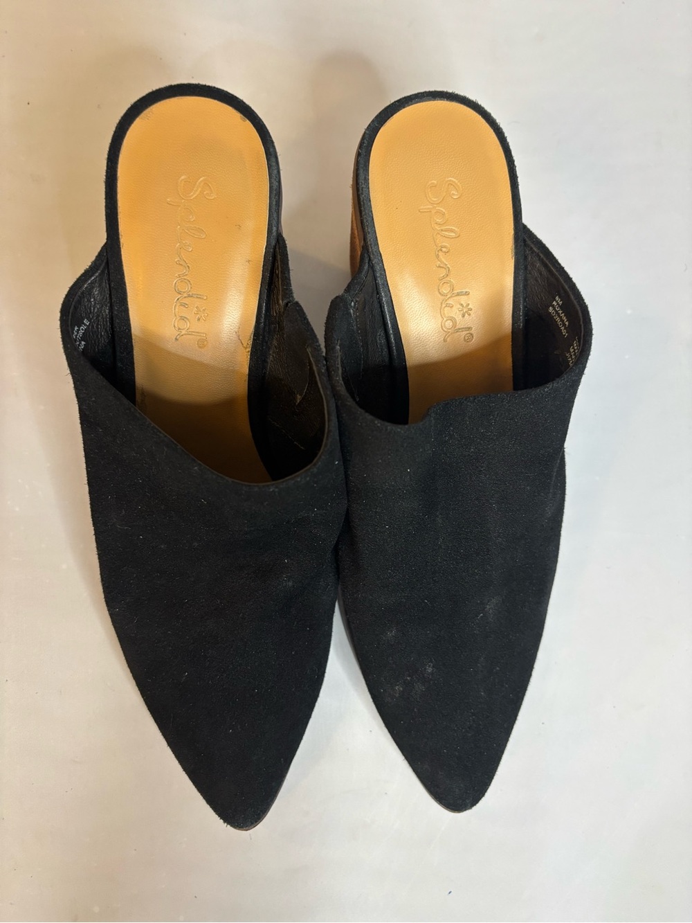 Splendid Black Pointed Slip-On Mules with Tan Insole